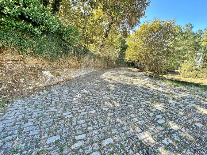 Quinta T4 para Venda em Várzea, Aliviada e Folhada Foto 22