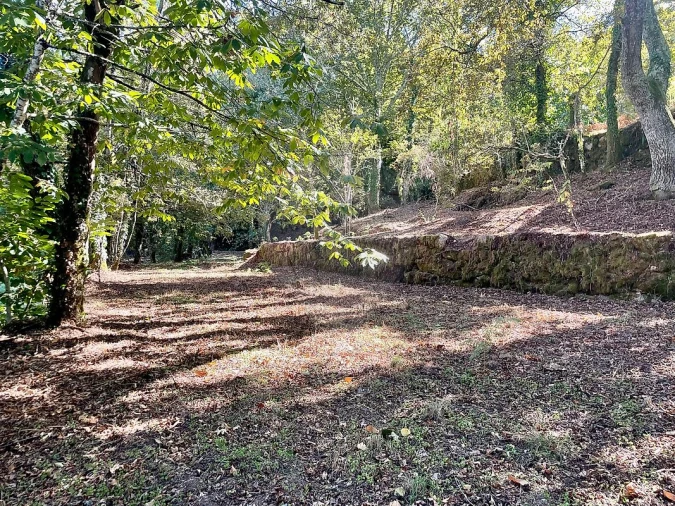 Quinta T4 para Venda em Várzea, Aliviada e Folhada Foto 32