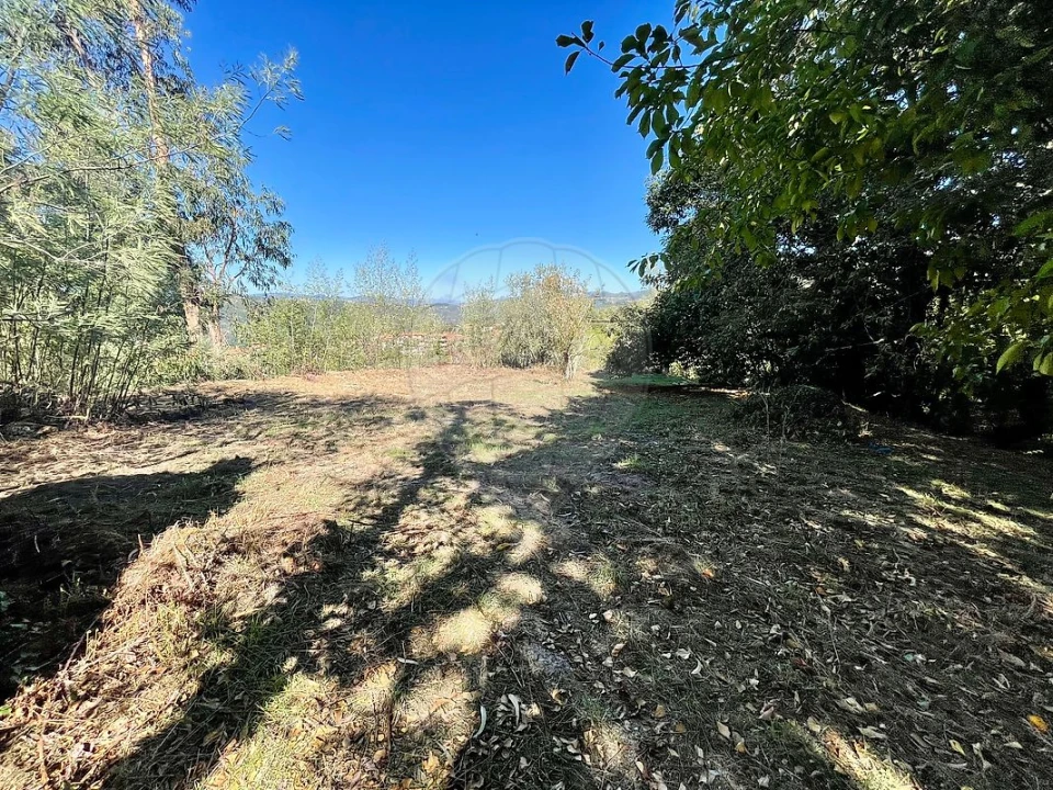Quinta T4 para Venda em Várzea, Aliviada e Folhada Foto 27