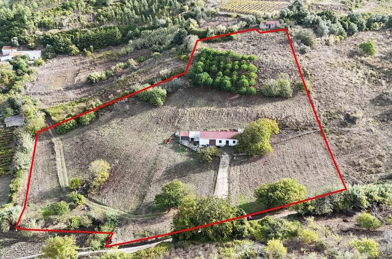 Moradia para Venda em Ribafria e Pereiro de Palhacana Foto 2