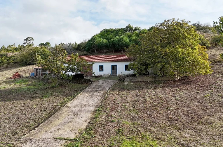 Moradia para Venda em Ribafria e Pereiro de Palhacana Foto 4