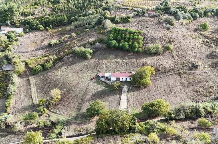 Moradia para Venda em Ribafria e Pereiro de Palhacana Foto 3