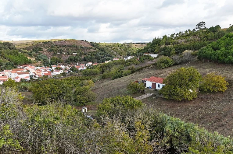 Moradia para Venda em Ribafria e Pereiro de Palhacana Foto 8