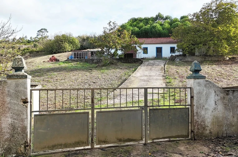 Moradia para Venda em Ribafria e Pereiro de Palhacana Foto 6