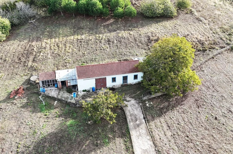 Moradia para Venda em Ribafria e Pereiro de Palhacana Foto 7