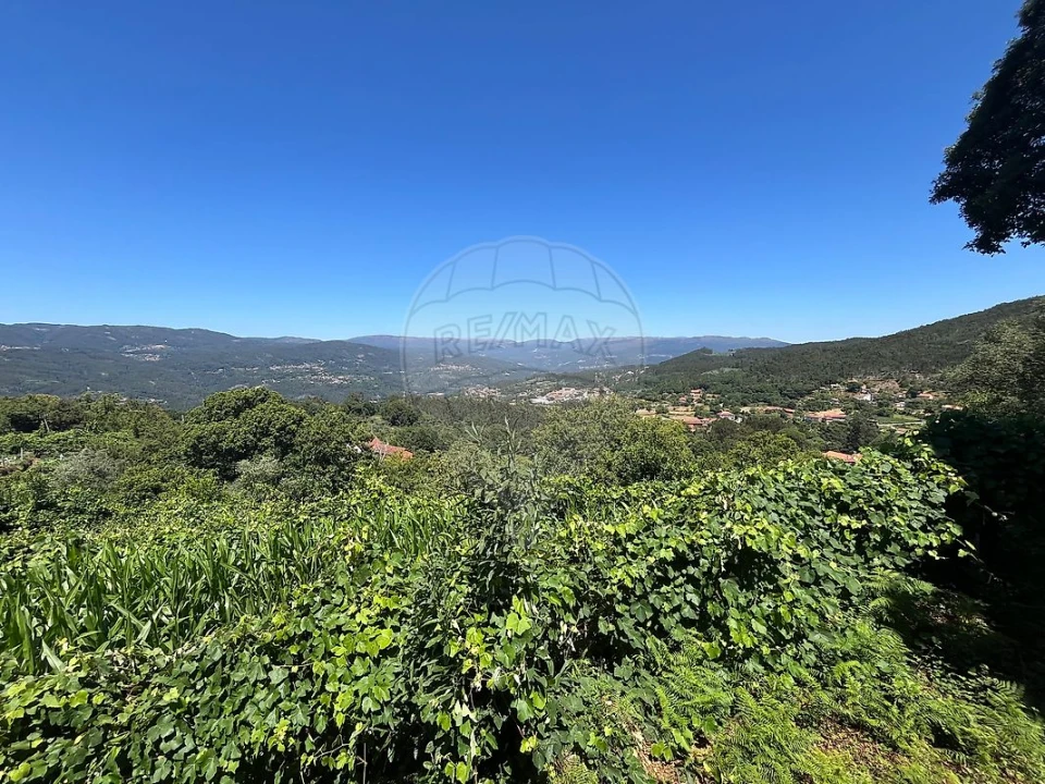 Terreno para Venda em Ribeiradio Foto 1