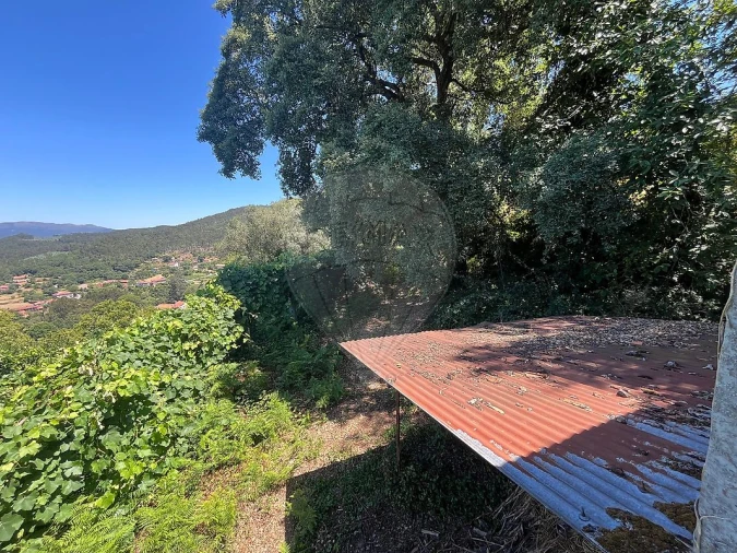 Terreno para Venda em Ribeiradio Foto 4