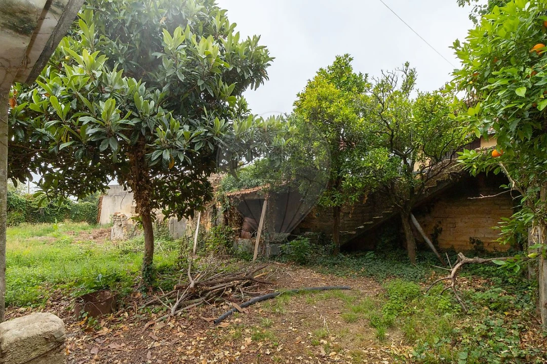 Moradia T8 para Venda em Barrô e Aguada de Baixo Foto 8