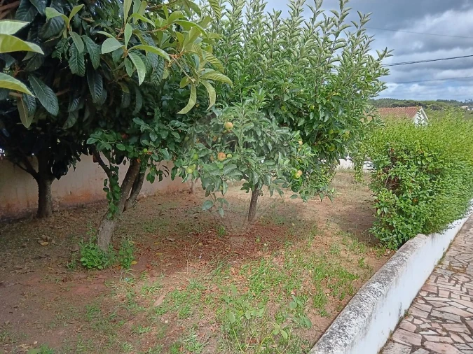 Moradia T3 para Venda em Alguber Foto 10