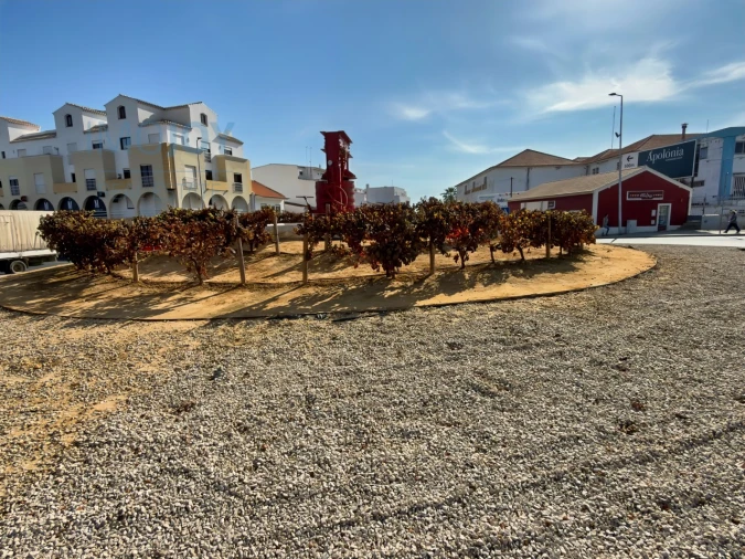 Terreno para Venda em Lagoa e Carvoeiro Foto 30