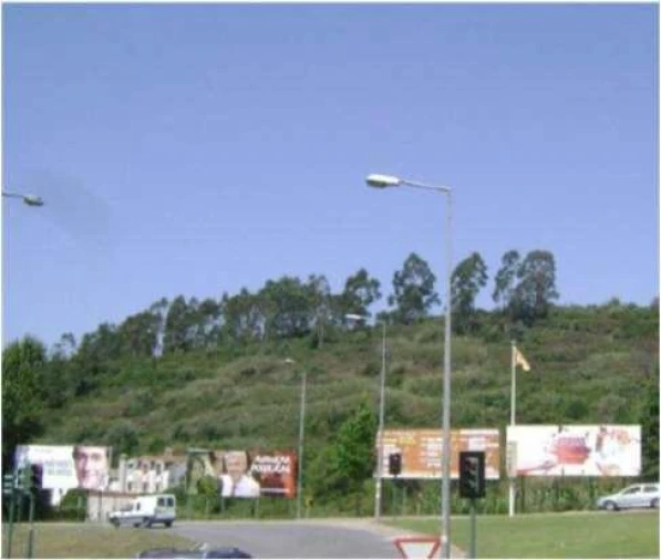 Terreno para Venda em Santo Antonio dos Olivais Foto 8