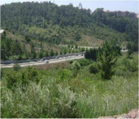 Terreno para Venda em Santo Antonio dos Olivais Foto 9
