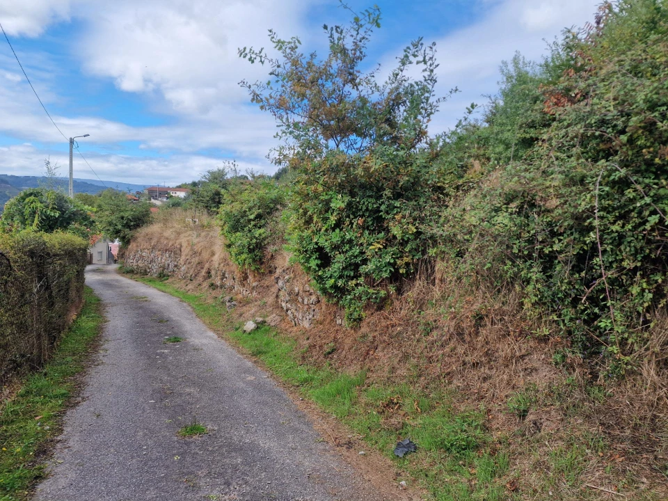 Terreno para Venda em Vila Verde e Barbudo Foto 13