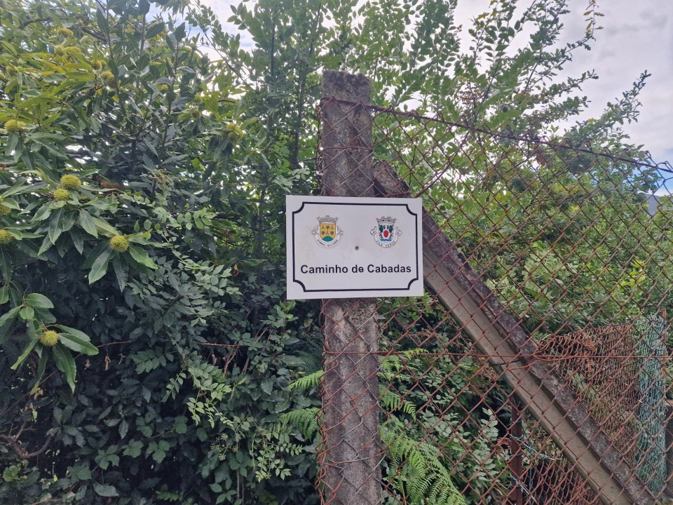 Terreno para Venda em Vila Verde e Barbudo Foto 14
