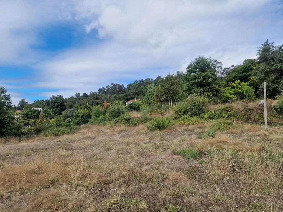 Terreno para Venda em Vila Verde e Barbudo Foto 24