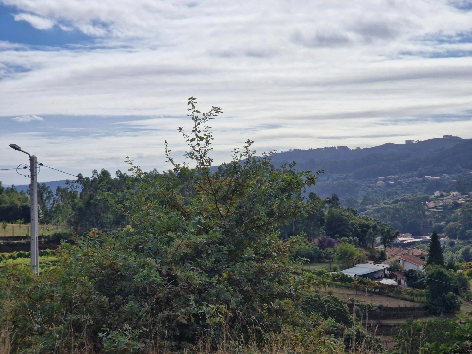 Terreno para Venda em Vila Verde e Barbudo Foto 28