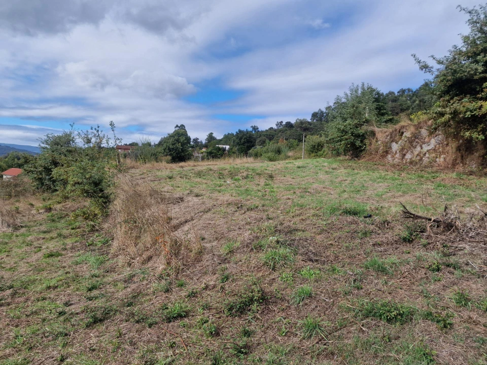 Terreno para Venda em Vila Verde e Barbudo Foto 32