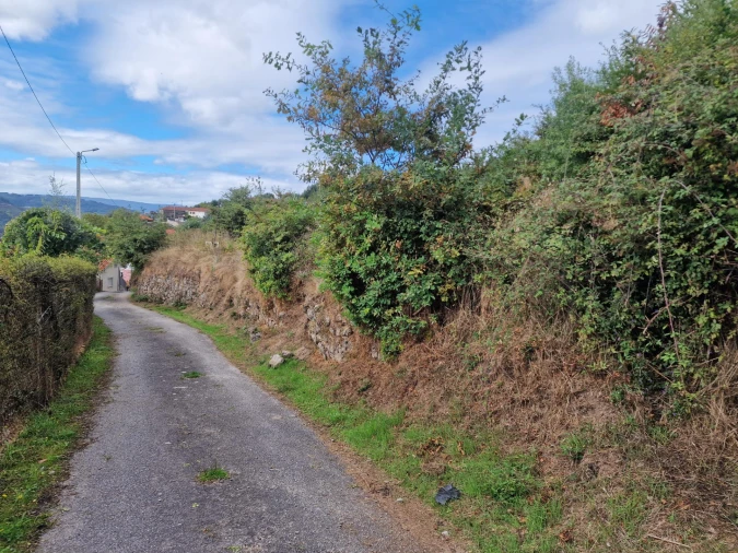 Terreno para Venda em Vila Verde e Barbudo Foto 13