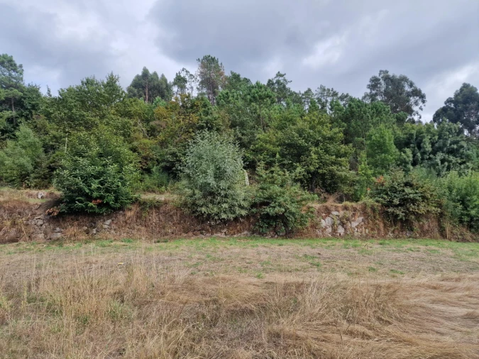 Terreno para Venda em Vila Verde e Barbudo Foto 23