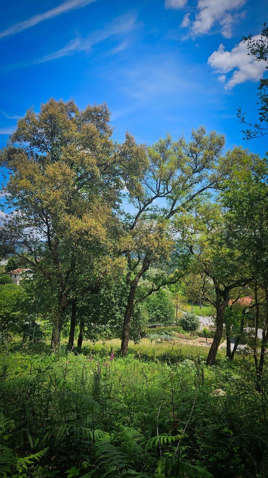 Moradia T2 para Venda em Vila Verde Foto 20