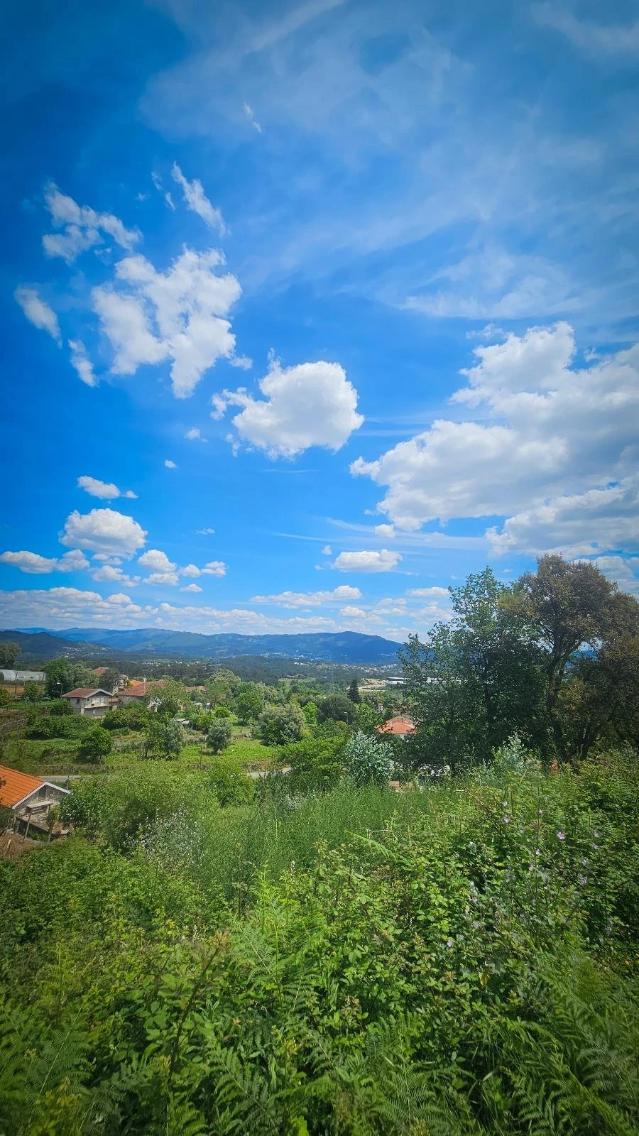 Moradia T2 para Venda em Vila Verde Foto 21