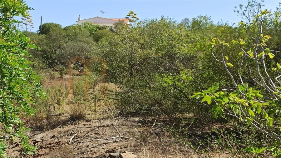 Moradia T3 para Venda em Castro Marim Foto 16