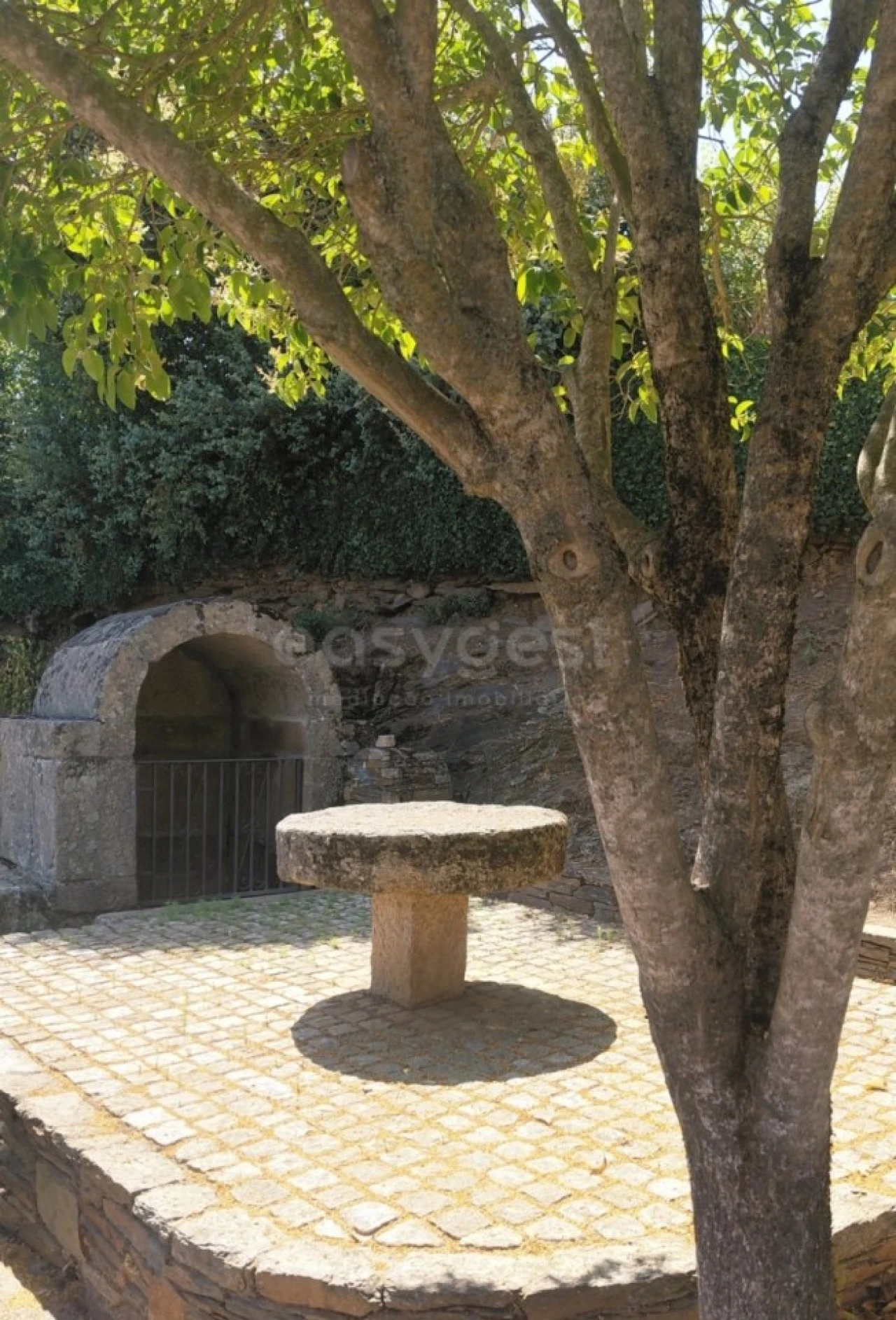 Moradia T3 para Venda em Sendim e Atenor Foto 38