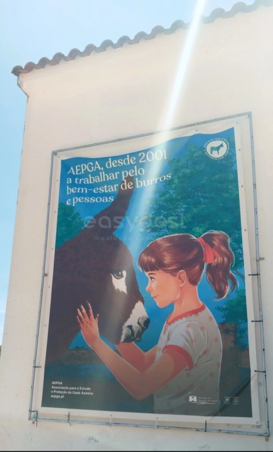 Moradia T3 para Venda em Sendim e Atenor Foto 31