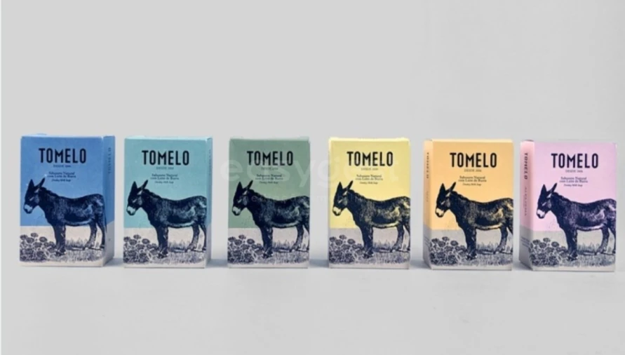 Moradia T3 para Venda em Sendim e Atenor Foto 43