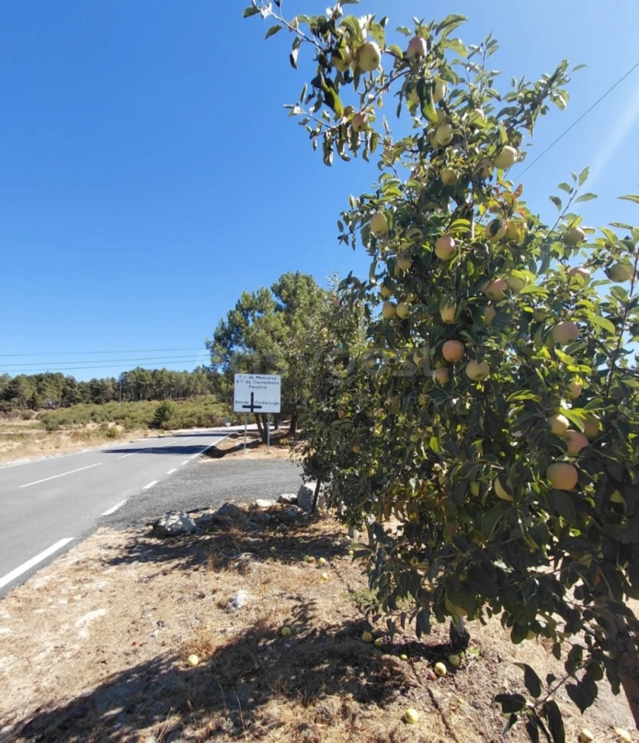Moradia T3 para Venda em Carrazeda de Ansiães Foto 30