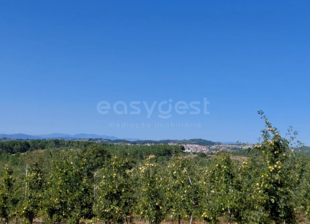 Moradia T3 para Venda em Carrazeda de Ansiães Foto 31