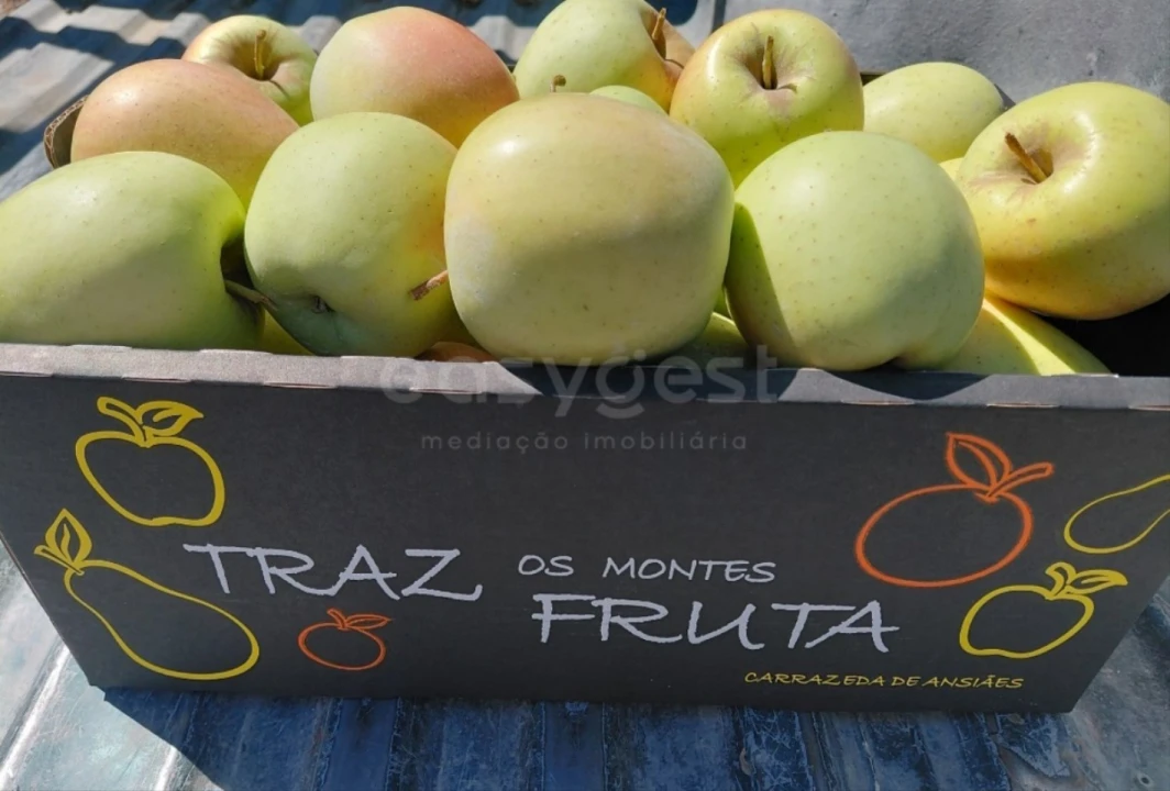 Moradia T3 para Venda em Carrazeda de Ansiães Foto 32