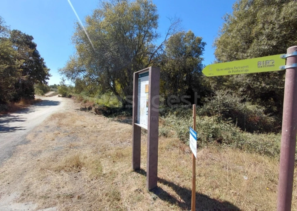 Moradia T3 para Venda em Carrazeda de Ansiães Foto 33