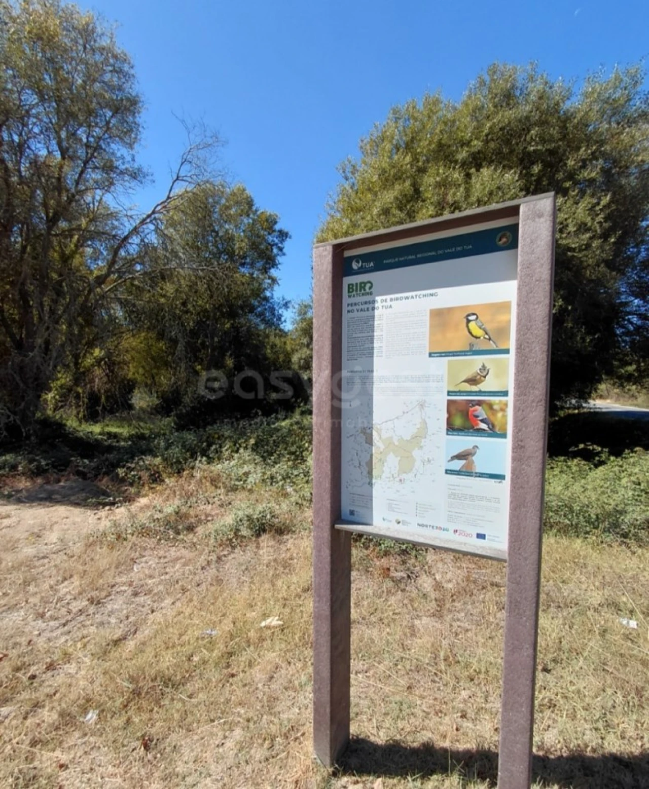 Moradia T3 para Venda em Carrazeda de Ansiães Foto 34