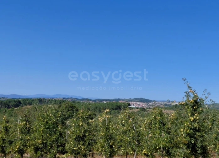 Moradia T3 para Venda em Carrazeda de Ansiães Foto 31