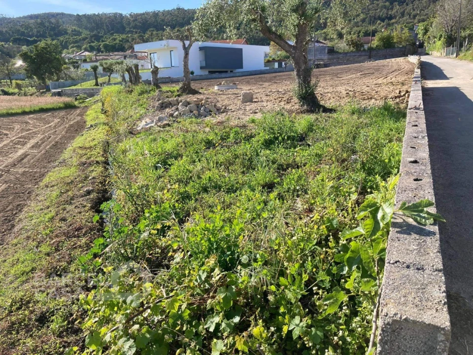 Terreno para Venda em Alvito (São Pedro e São Martinho) e Couto Foto 3