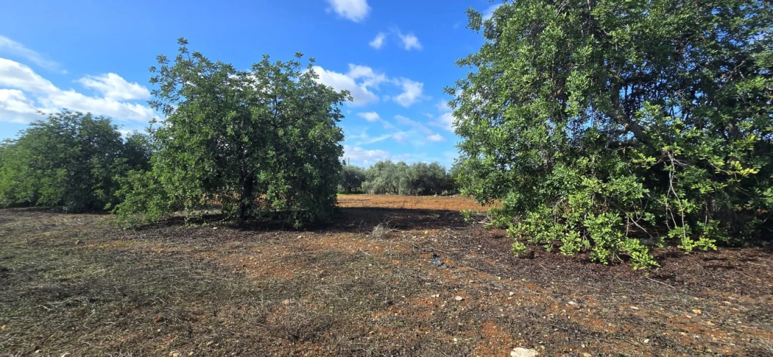 Moradia T3 para Venda em Luz de Tavira e Santo Estêvão Foto 25