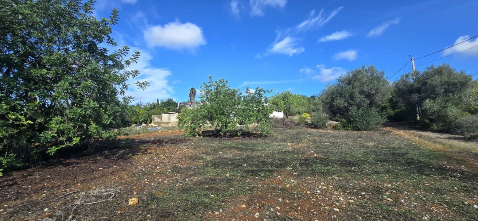 Moradia T3 para Venda em Luz de Tavira e Santo Estêvão Foto 26