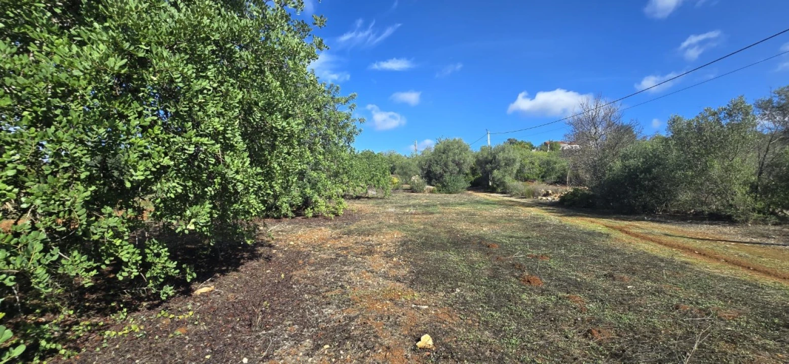 Moradia T3 para Venda em Luz de Tavira e Santo Estêvão Foto 28