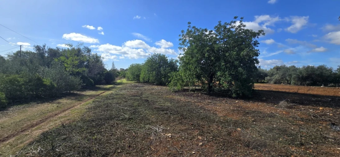 Moradia T3 para Venda em Luz de Tavira e Santo Estêvão Foto 24