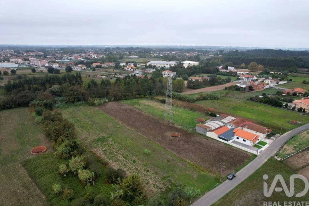 Terreno para Venda em Bustos, Troviscal e Mamarrosa Foto 7