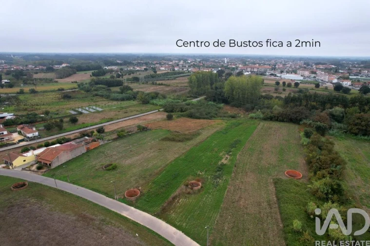 Terreno para Venda em Bustos, Troviscal e Mamarrosa Foto 8