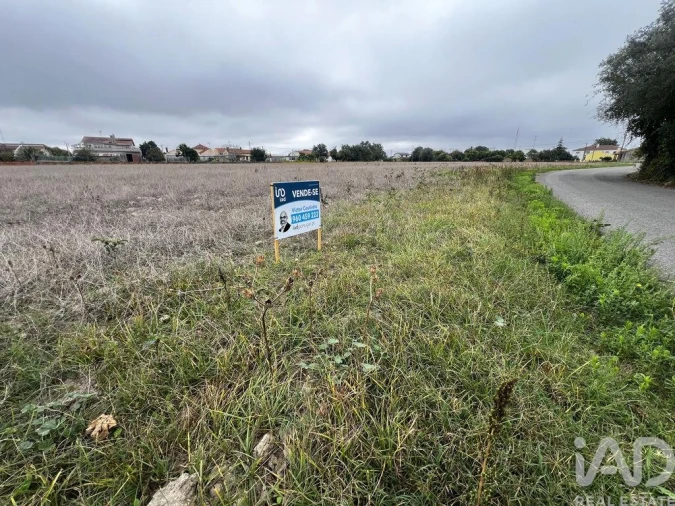 Terreno para Venda em Bustos, Troviscal e Mamarrosa Foto 11