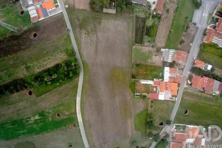 Terreno para Venda em Bustos, Troviscal e Mamarrosa Foto 5