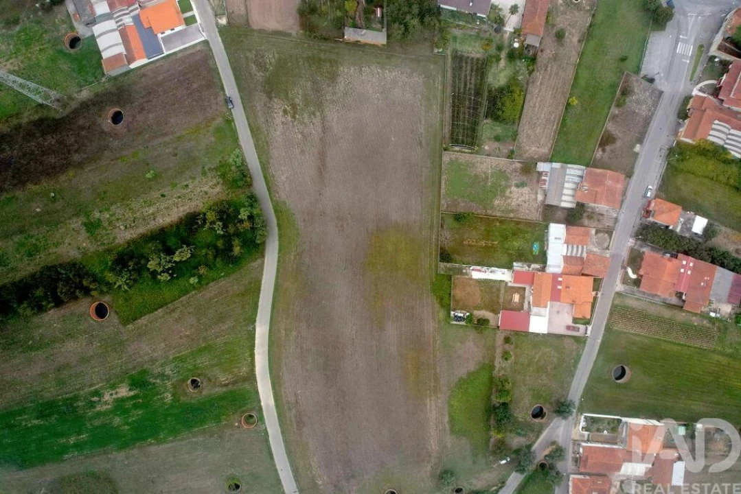 Terreno para Venda em Bustos, Troviscal e Mamarrosa Foto 5
