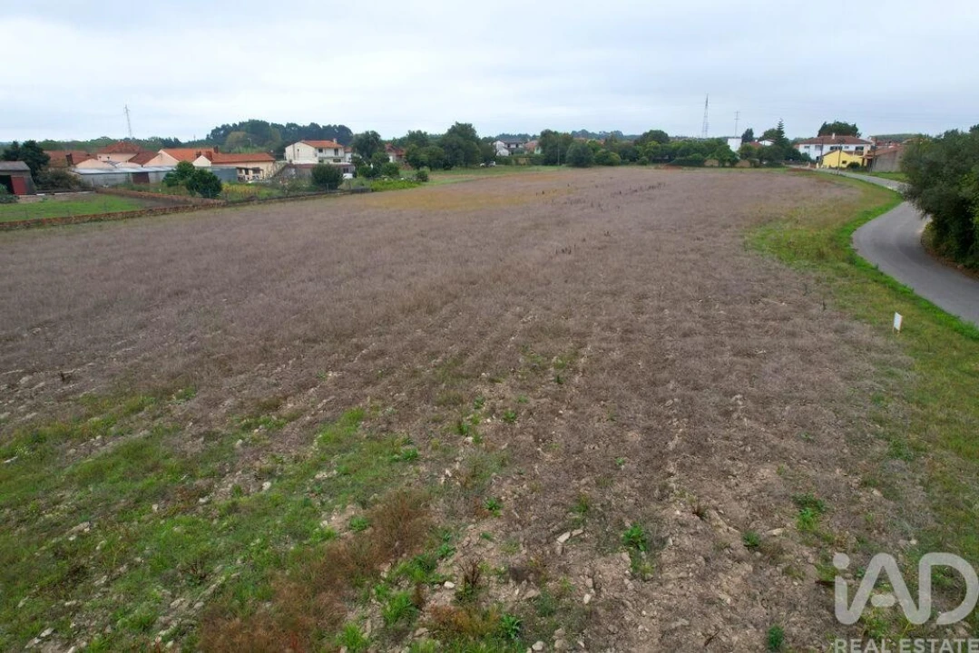 Terreno para Venda em Bustos, Troviscal e Mamarrosa Foto 13