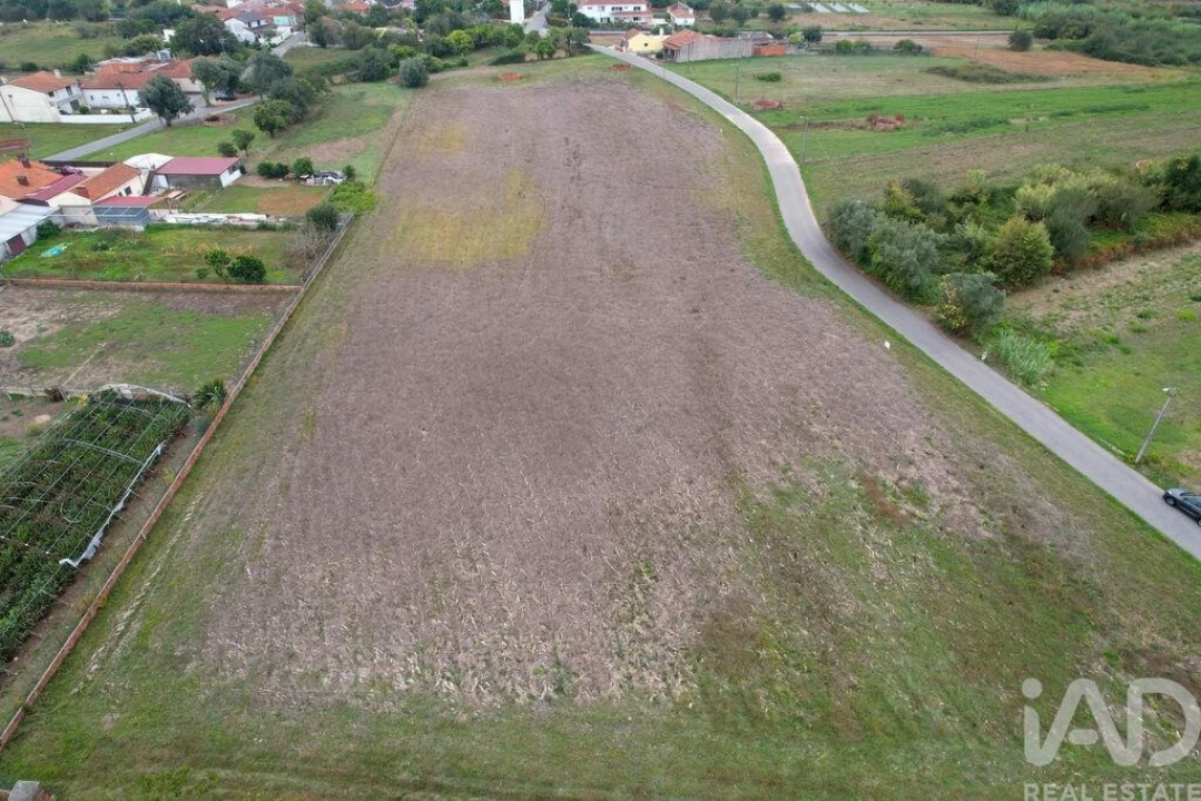 Terreno para Venda em Bustos, Troviscal e Mamarrosa Foto 1