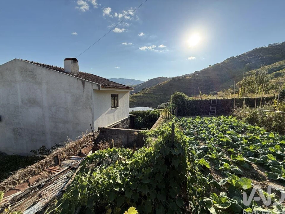 Terreno para Venda em Peso da Régua e Godim Foto 20
