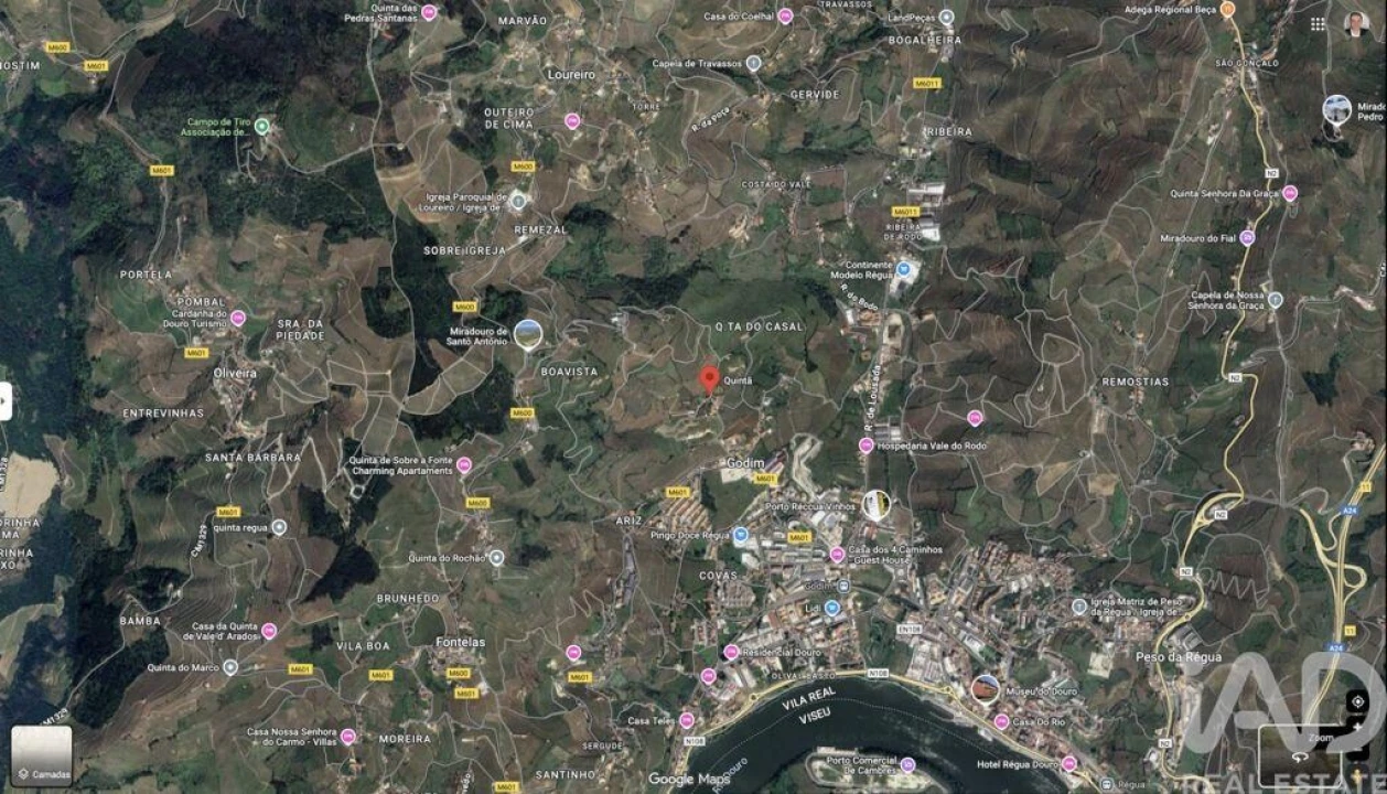 Terreno para Venda em Peso da Régua e Godim Foto 26