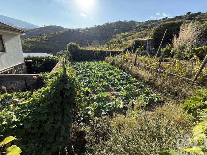 Terreno para Venda em Peso da Régua e Godim Foto 21